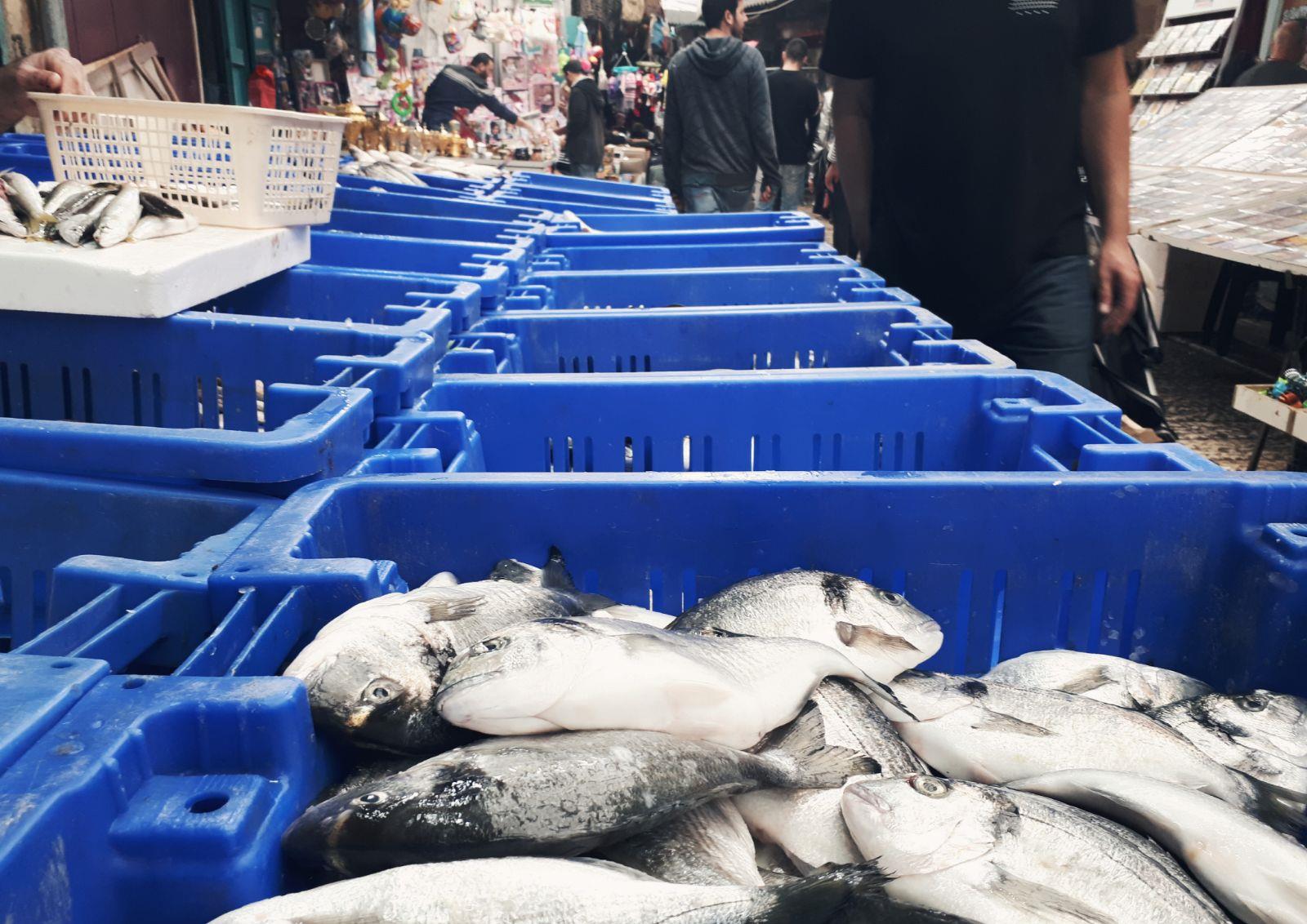 דגים בשוק